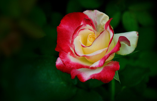 216835 (a): :2986x1928
